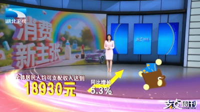 上半年湖北消费账单出炉 经济第一引擎动力在哪里？