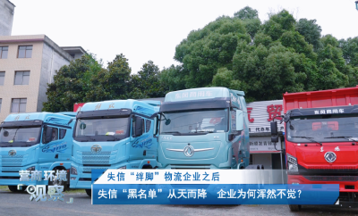 【磁湖聚焦——营商环境观察】失信“绊脚”物流企业之后