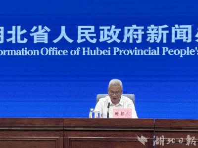 六句话，速览湖北上半年经济运行亮点