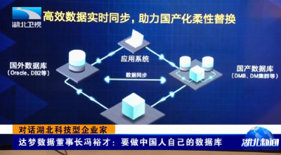 对话湖北科技型企业家｜达梦数据董事长冯裕才：要做中国人自己的数据库