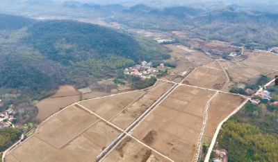 咸安：“小田并大田”蹚出“碎地生金”新路子