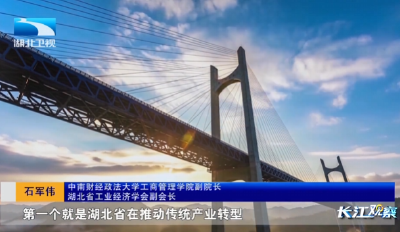 湖北向上·半年经济观察 | 专家观点：需求带动跨越式增长