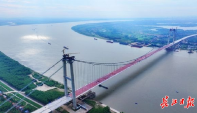 “钢铁巨龙”合龙，江豚、候鸟安然