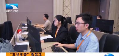 “五谷丰登”看武汉 | 中国网谷 全力打造国家网络安全高地