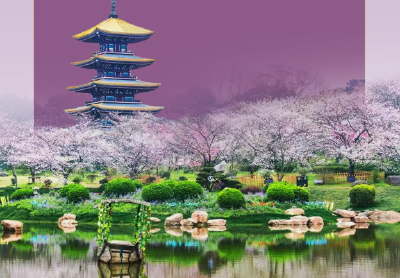 湖北冲刺全年怎么干？七个“坚定不移”是重点！