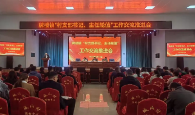 聚焦干部素质提升年丨轮值，锻出乡村振兴生力军——荆门市东宝区牌楼镇“轮值书记”工作制度见闻