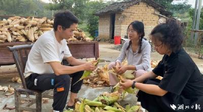 恭喜！他们结婚了！0彩礼