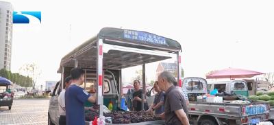 锲而不舍落实中央八项规定精神·办实事解难题｜随州随县：城市治理“柔性执法” 凸显民生温度