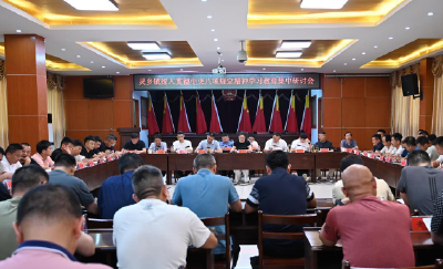 锲而不舍落实中央八项规定精神｜大冶动真碰硬深查实改 把“服务指数”化为“发展指数”