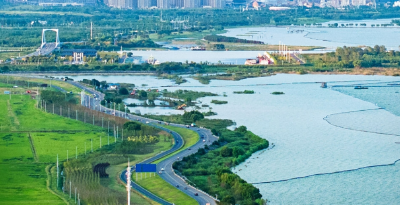 习近平总书记关切事｜生态守护亮“新”技