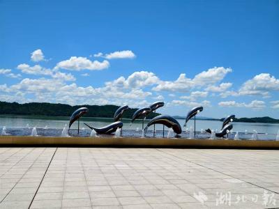 长江处处江豚湾