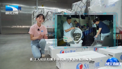 看支点·开放辐射力丨一座机场的脉动