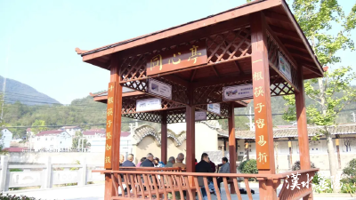 治理“绣花针”穿起千条线，看枫桥经验的“襄阳解法”！