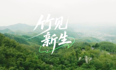 微视频丨竹见新生