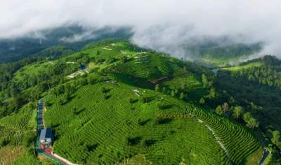 近观“两山”丨理念一变天地宽