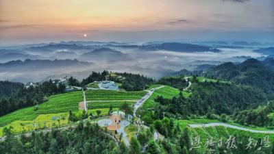 富民强县“一根藤”