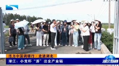 活力中国调研行·走进湖北丨潜江：小龙虾“游”出全产业链