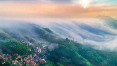 第一视点丨生态兴则文明兴——写在“绿水青山就是金山银山”理念提出20年之际