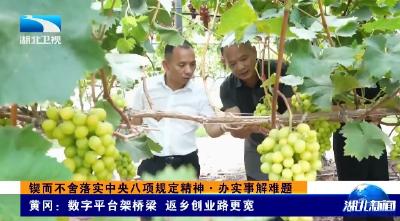 锲而不舍落实中央八项规定精神·办实事解难题丨黄冈：数字平台架桥梁 返乡创业路更宽