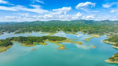 库区水更清了、山更绿了、环境更美了！十堰交出“硬核”水质成绩单