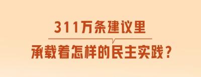 一见·311万条建议里，承载着怎样的民主实践？