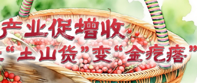 翁新强：“五味子书记”的11年山村答卷