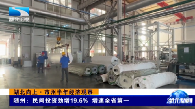 湖北向上·市州半年经济观察 | 随州：民间投资劲增19.6% 增速全省第一