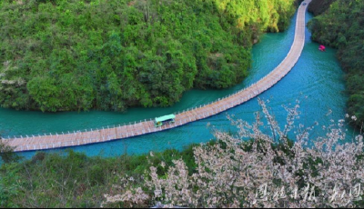 点绿为金 为支点建设添彩——恩施州奋力谱写绿色崛起新篇章