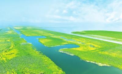 荆州洪湖：清波为墨 荷藕作笔