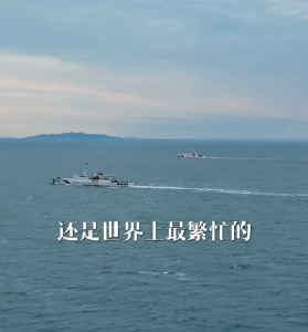 幸会中国 | 守护珊瑚之美，共筑“海洋命运共同体”