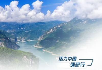 湖北扛牢挑大梁责任丨活力中国调研行