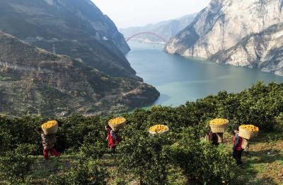 锲而不舍落实中央八项规定精神·办实事解难题 | 秭归实施山区血透病人“回家”工程