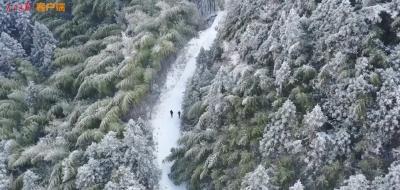 总书记的人民情怀｜“中国式现代化是人与自然和谐共生的现代化”