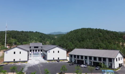 上线八个多月，交易额近一点五亿元 供应链平台助广水农产品“驾云”出山