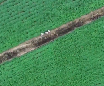 科产“恋爱”记丨支点人物：科技“红娘”张向向的三件“宝贝”