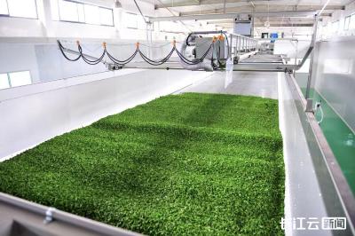 活力中国调研行｜宜昌：茶的“∞”