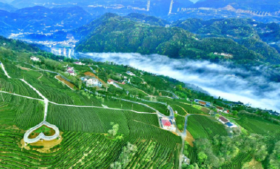 这场国家级大会，为何上海、湖北轮流“坐庄”？