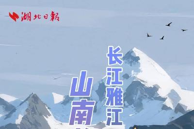 长江雅江31载同浇灌，山南格桑花正艳