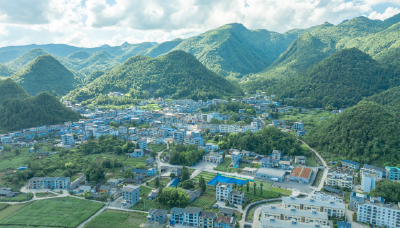 “两山”转化看鹤峰：82万亩“生态珍宝”香飘海外 村民增收笑满颜