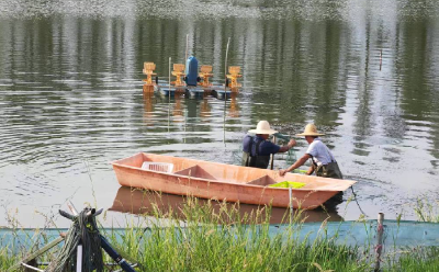 活力中国调研行｜特色产业“多点开花” 湖北释放就业新机遇
