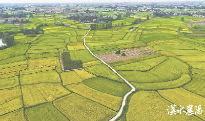 新高地 正崛起——襄阳锚定国家农高区目标全力冲刺