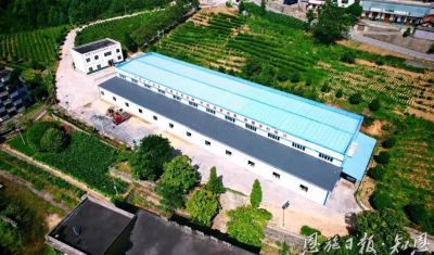 9年，从“0”到“150万”的嬗变 ——巴东县南潭村盘活“三资”解锁村集体经济倍增密码  