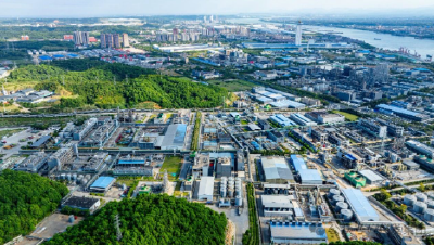 左右邻成为上下游 产业园就是产业链——宜昌东部产业新区传统产业向高端化、智能化、绿色化转型