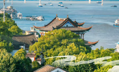 跟着总书记看中国 | 江水润荆楚 文脉连古今