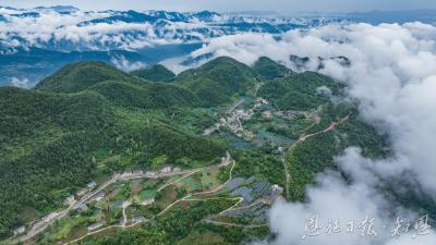 云雾深处的“零碳”密码