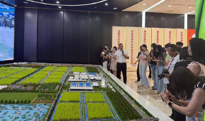 活力中国调研行丨产业有韧性 创新有底气 民生有温度 在这里，见证中国活力