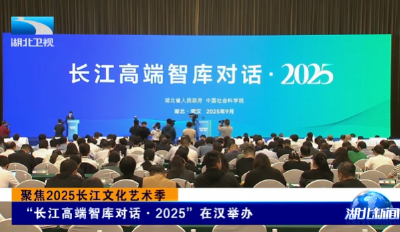 聚焦2025长江文化艺术季 | “长江高端智库对话·2025”在汉举办 