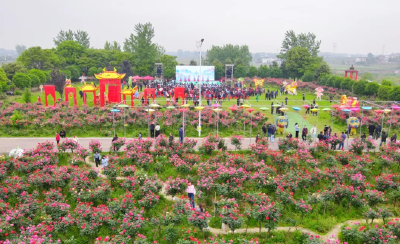 收入超50万元，宜昌这些村如何做到的？