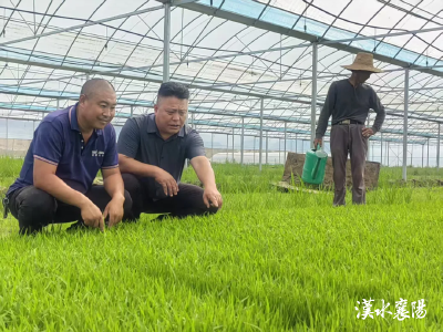 聚焦干部素质提升年丨襄阳：锻硬功 强引擎 促跃升