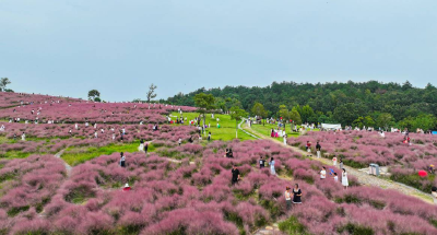 大城舒展活力燃 赛事托起新商圈